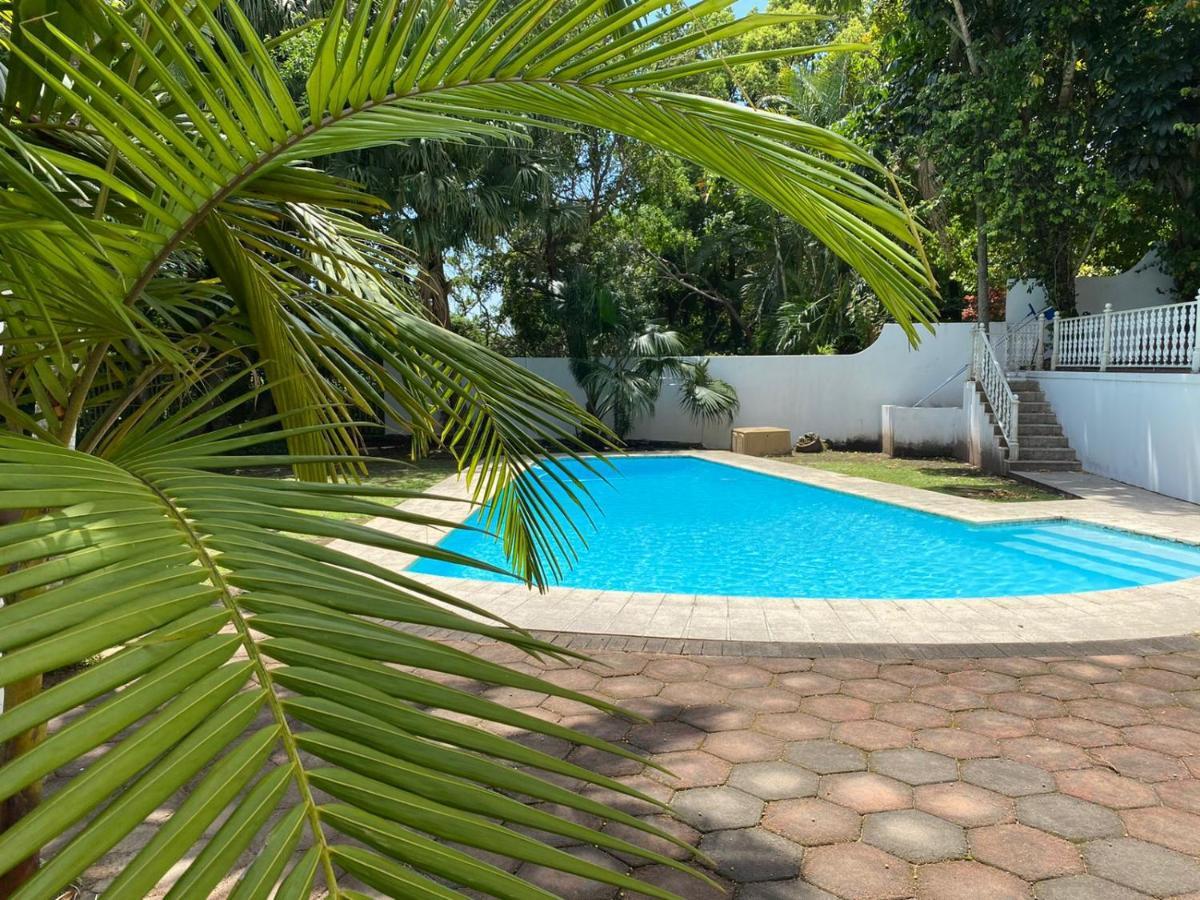 The Whitehouse Bed And Breakfast Durban Ngoại thất bức ảnh